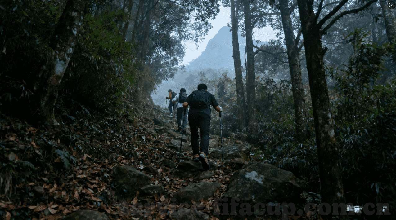 九妖手游app下载-掌握魔幻之旅的钥匙，九妖手游App下载指南